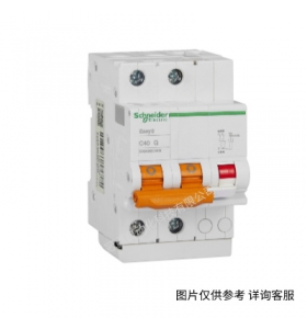 施耐德 VIGI IC65 ELE A9V63263 漏電保護器 2P 63A 100mA