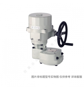 Siemens/西門子樓宇自動(dòng)化 IBT:SBV61 執(zhí)行器0-10VAC24V1600N