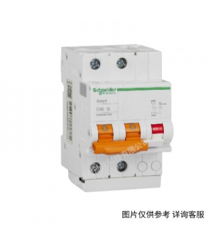 schneider 施耐德斷路器240V C60 2P10A60144